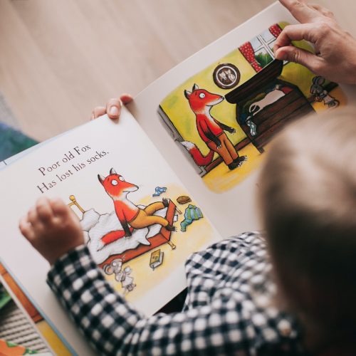 A child reading a story book
